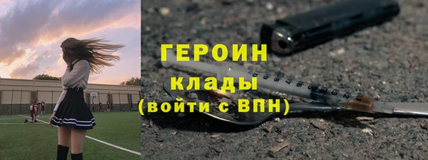 гашик Алексин