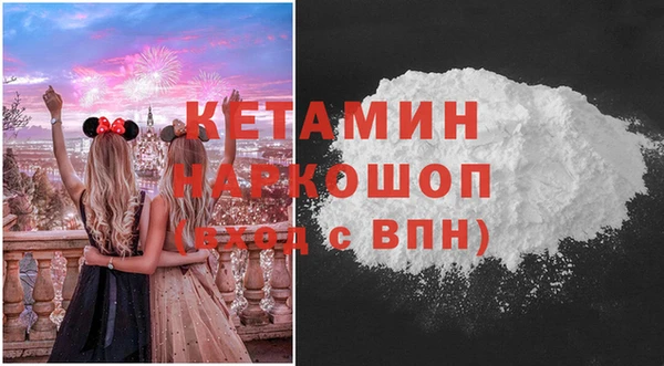 гашик Алексин