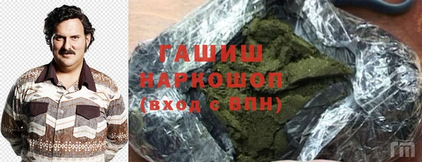 гашик Алексин