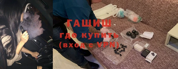 гашик Алексин
