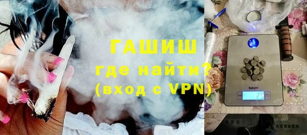 гашик Алексин