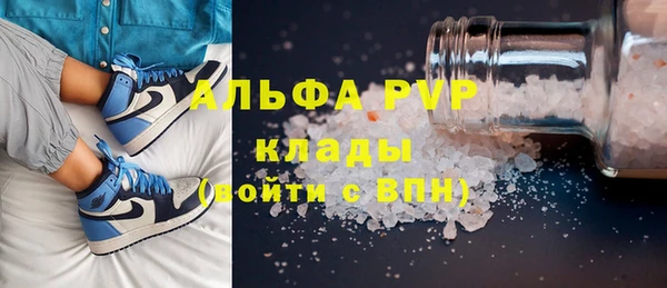 гашик Алексин