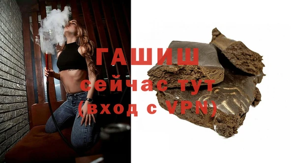 гашик Алексин
